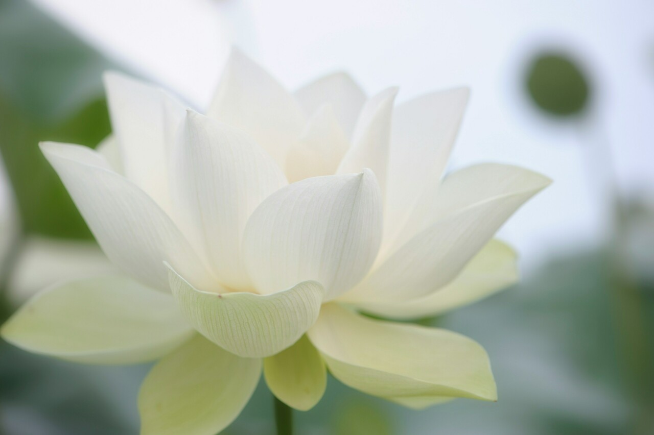 He zhu 1 YODHO Ij46 Q unsplash