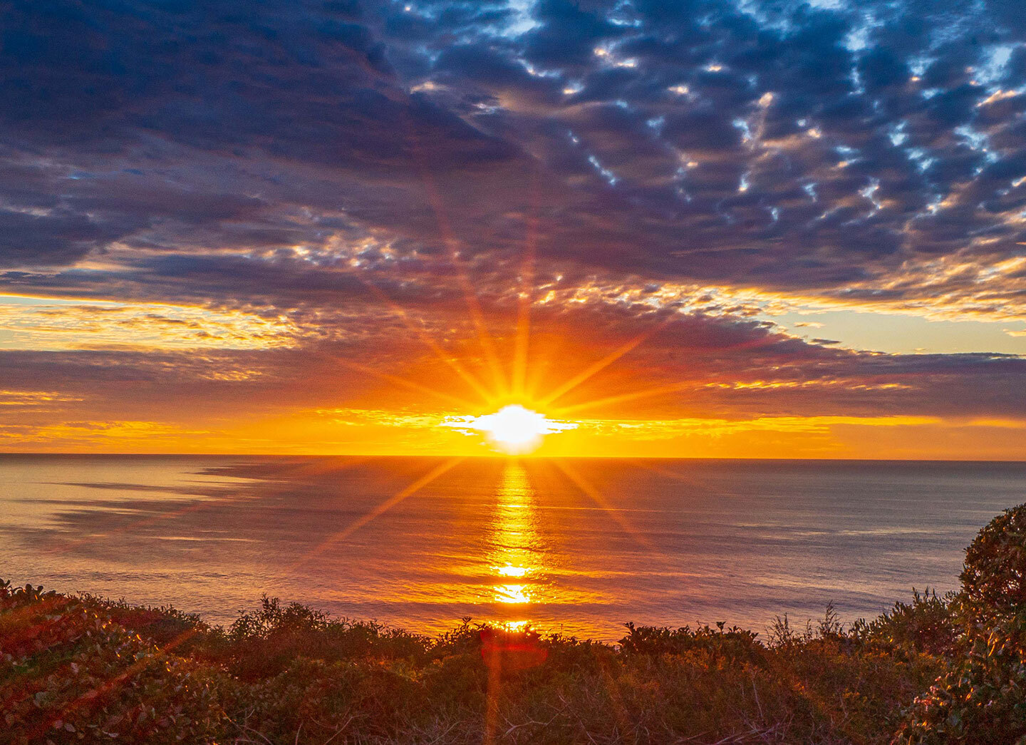 Chidananda Anchoring Our Consciousness 4x3