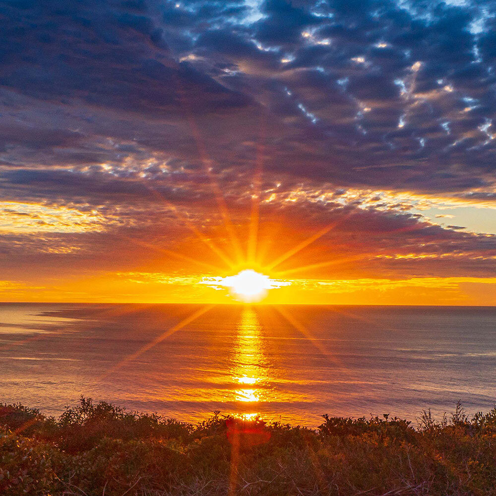 Chidananda Anchoring Our Consciousness square