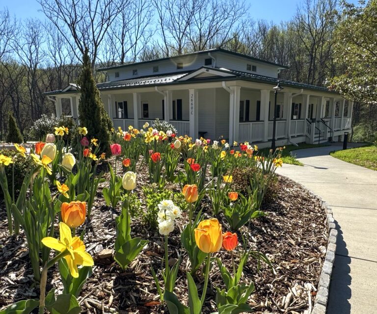 Exterior of the new meditation hall.