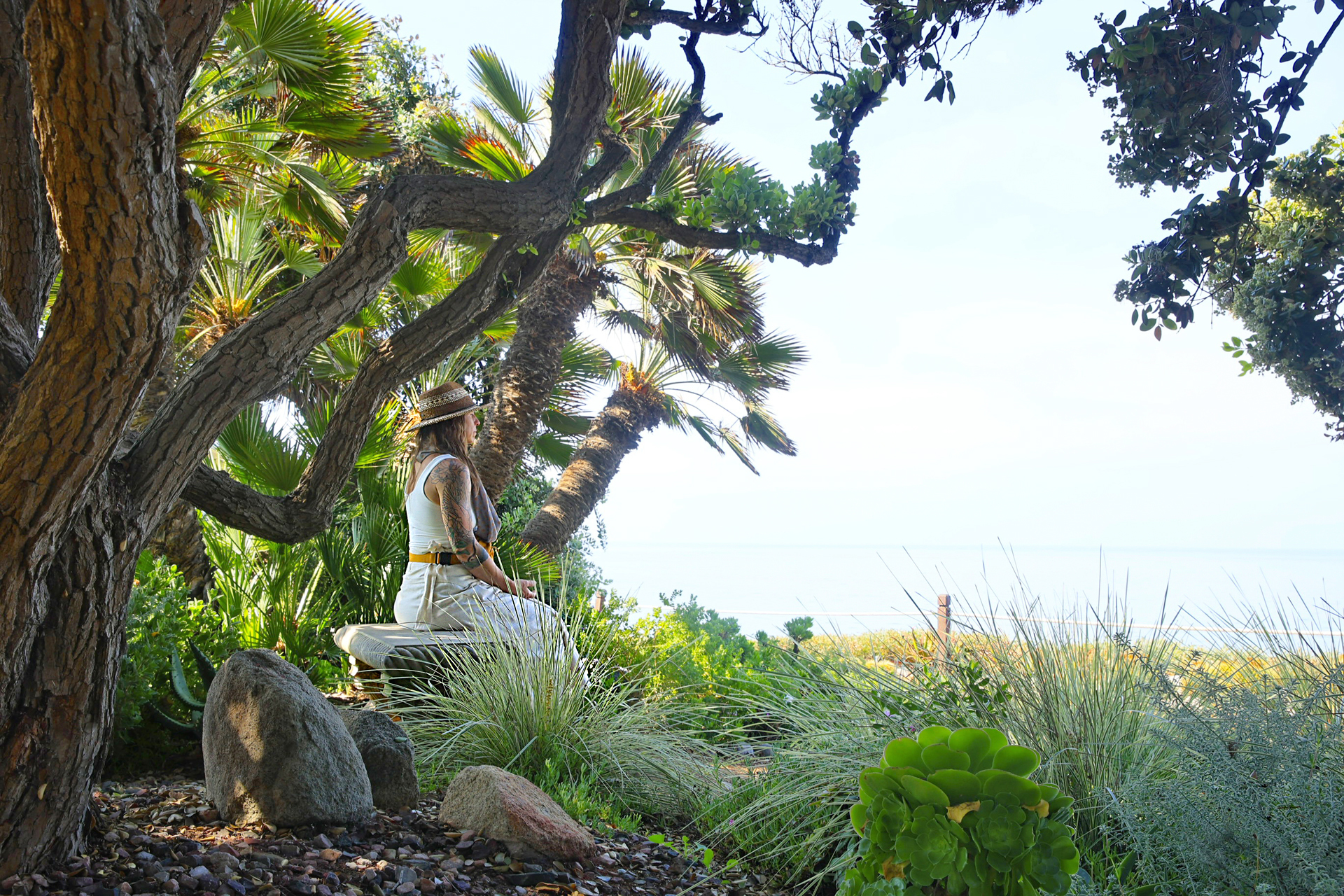 A shady nook in the meditation garden.