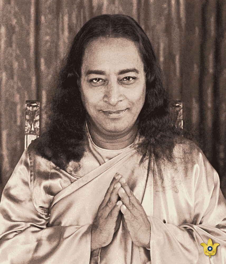 PY4710 19 01 4 Csep with Lotus