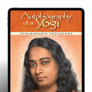 AY e Book for website