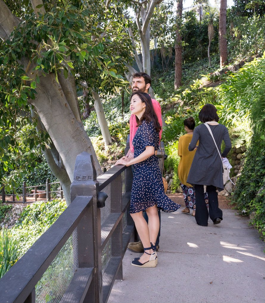 Path Header 2 Mobile