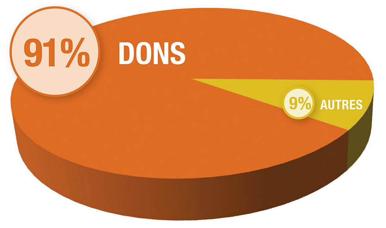 2025 Spring Appeal Pie Chart FRENCH