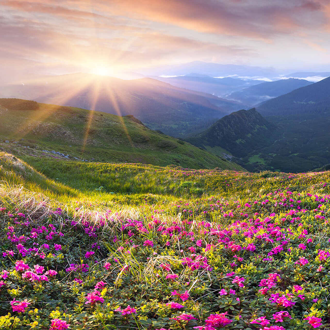 Faith in God Member led Retreat March 28 2026 square