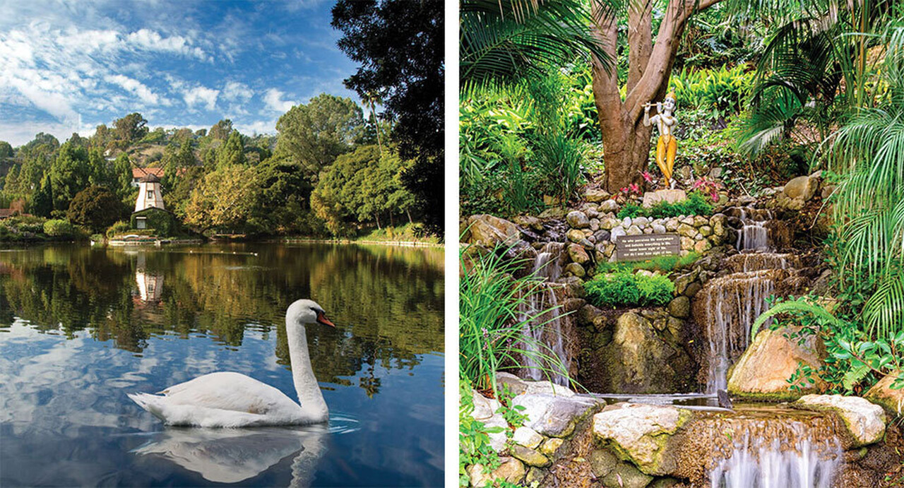 Lake Shrine Swan on Lake Krishna statue