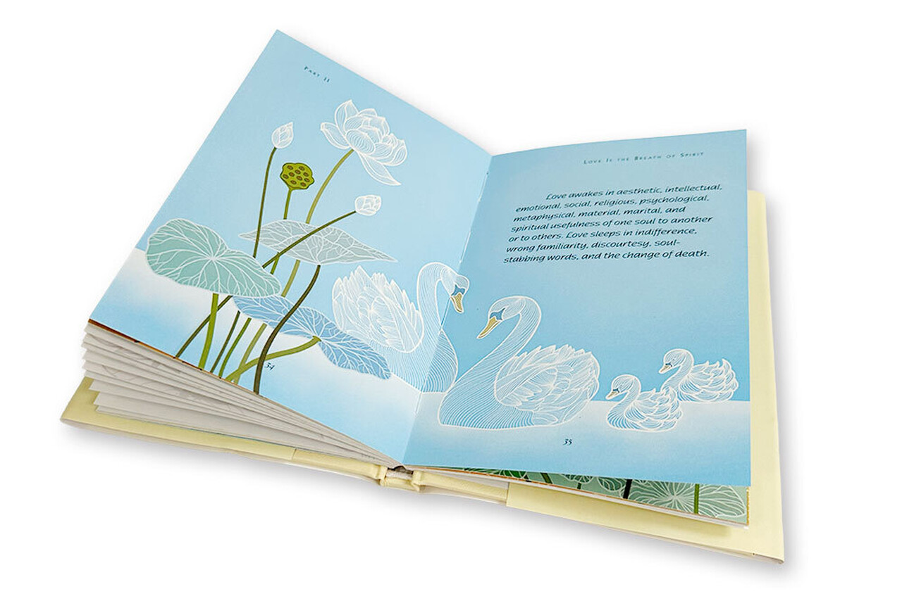 SEF open book 2 whitebg