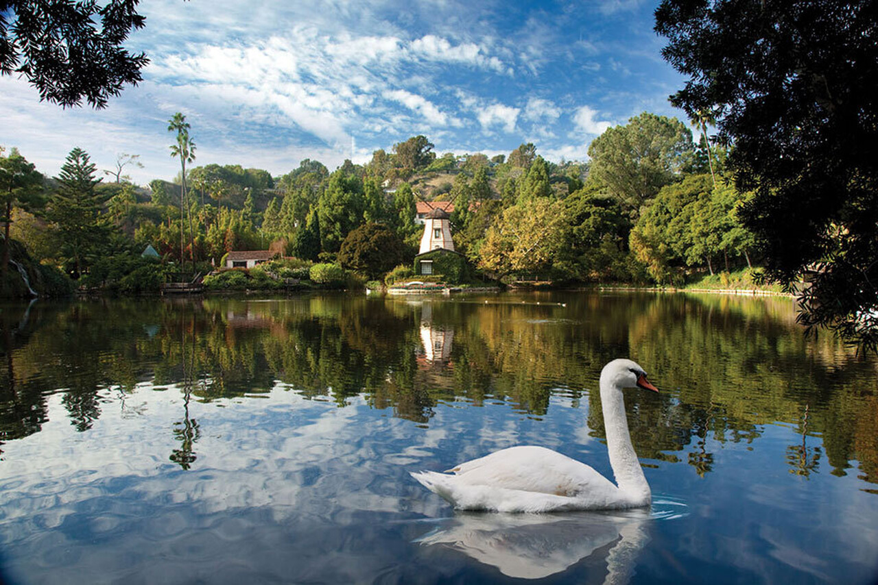 SRF Lake Shrine Reopening 1