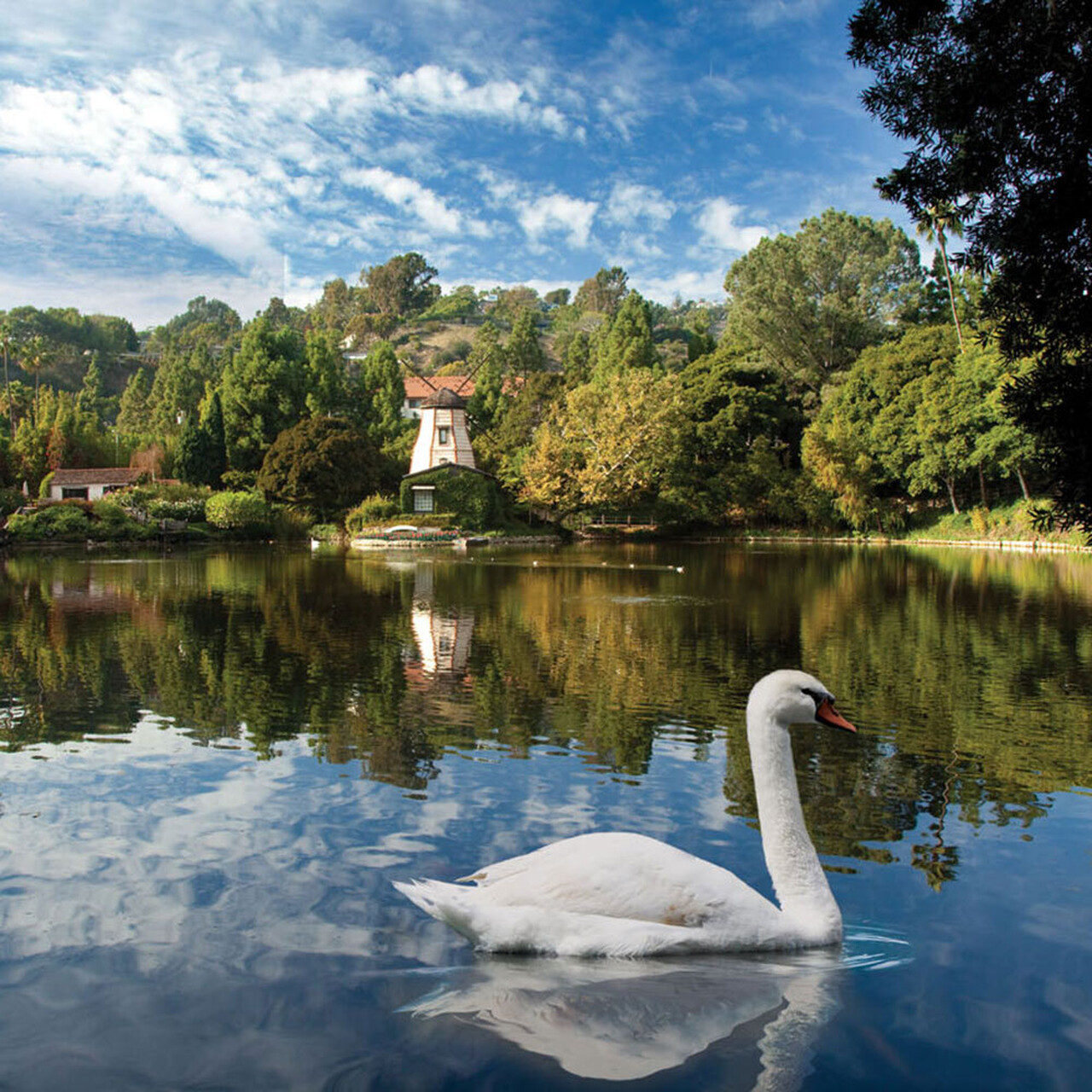 SRF Lake Shrine Reopening square