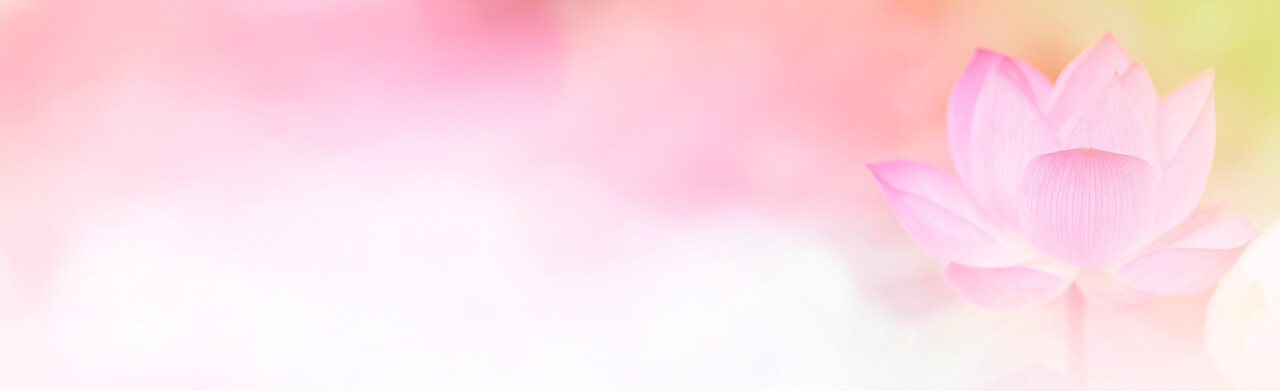 SRF Website Wide Card yellow bg orange lotus 1440x440 v9