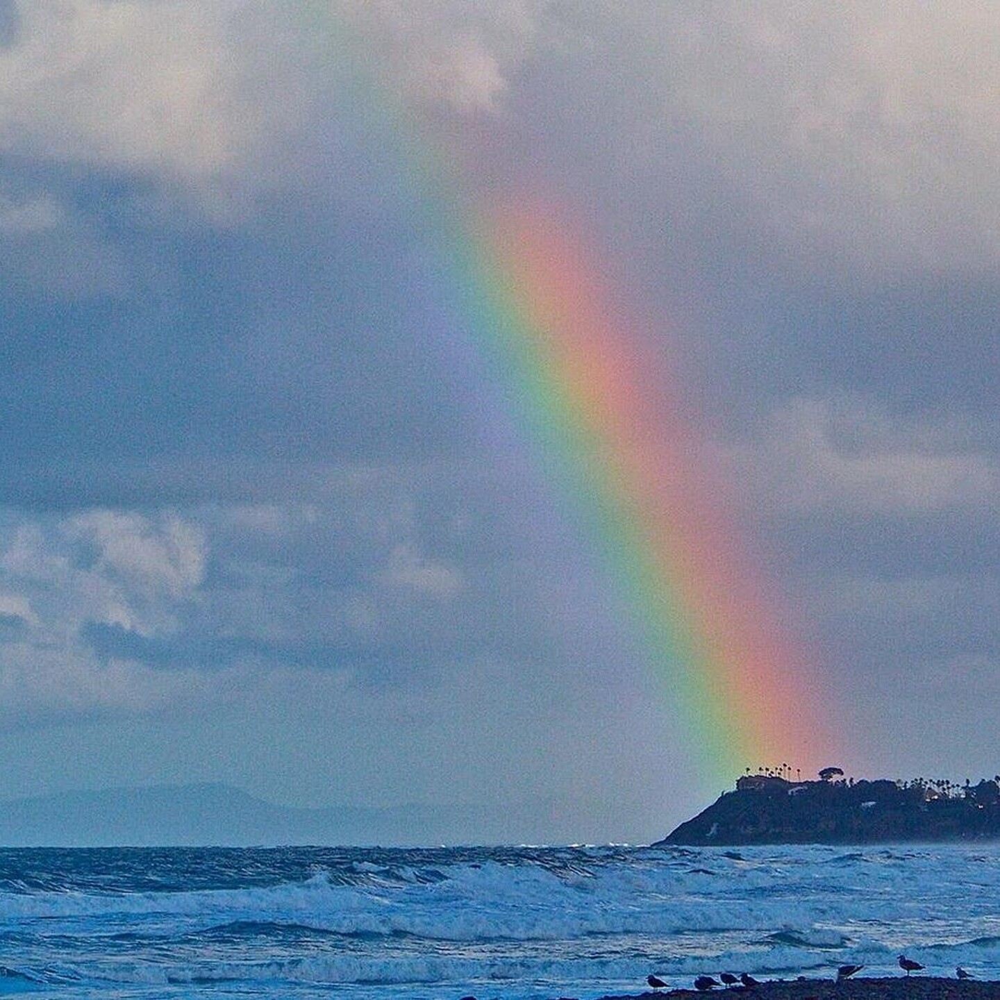 P htl AC 100 2073 exp