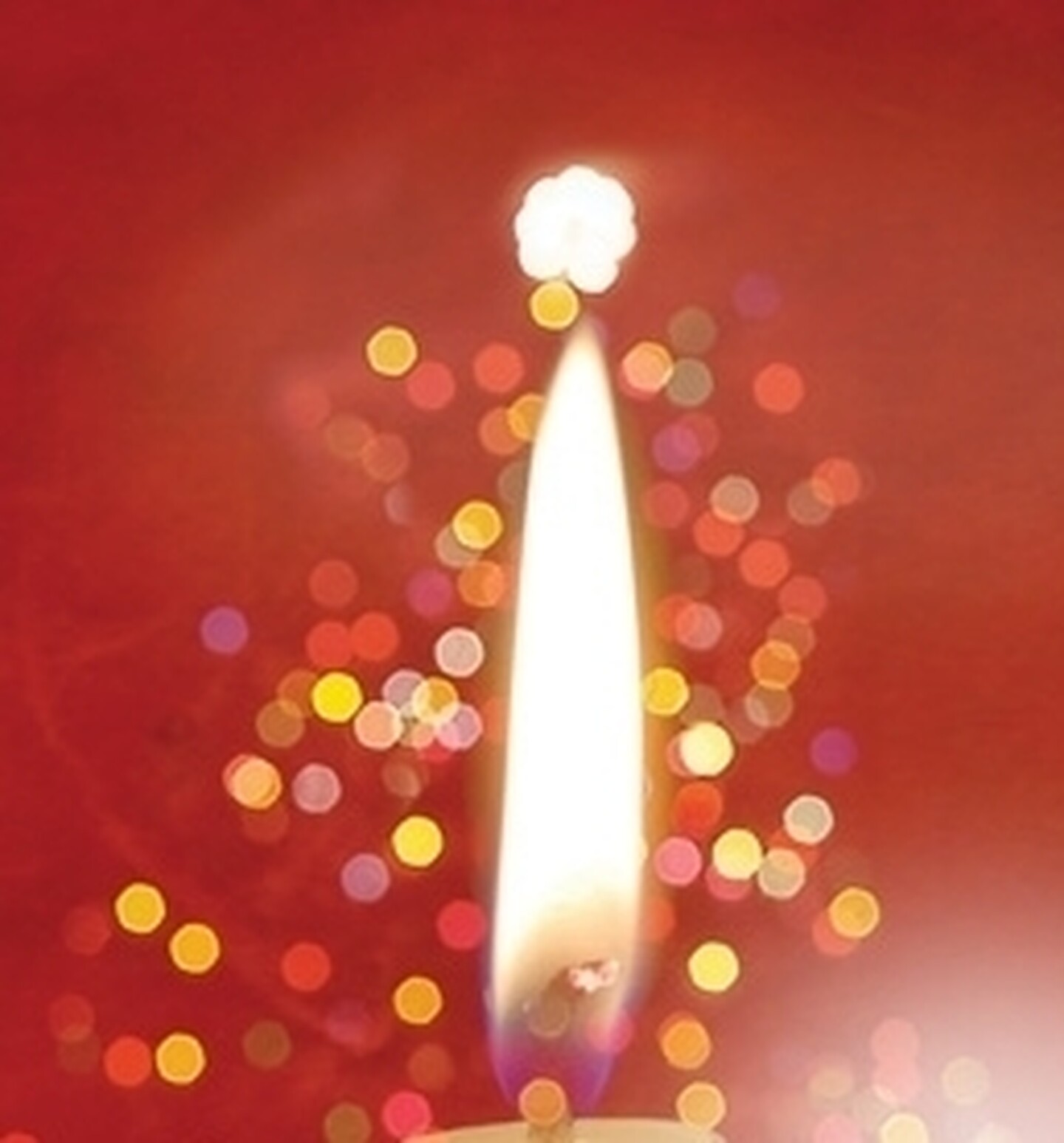 Seasonal Inspiration Cropped 1