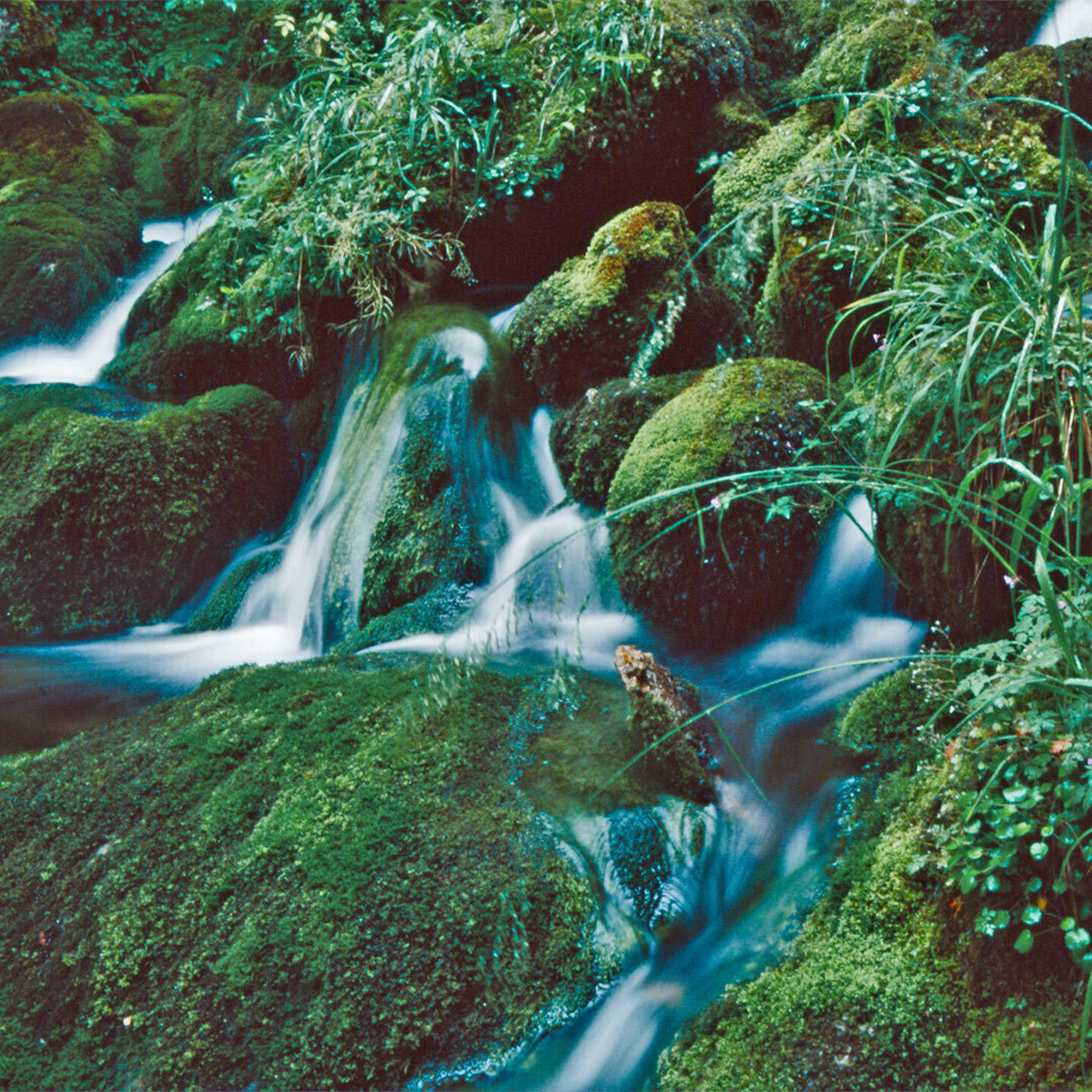 Waterfall website