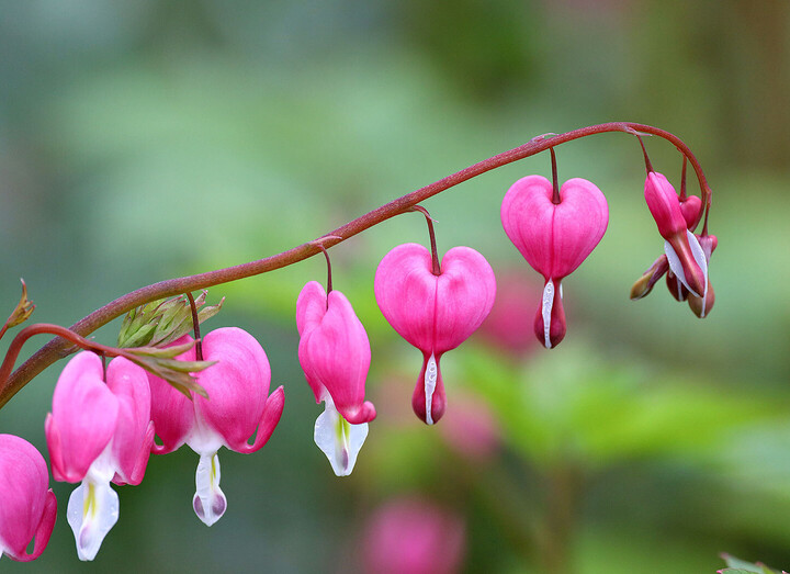 2026 Feb Gratitude Letter Blog