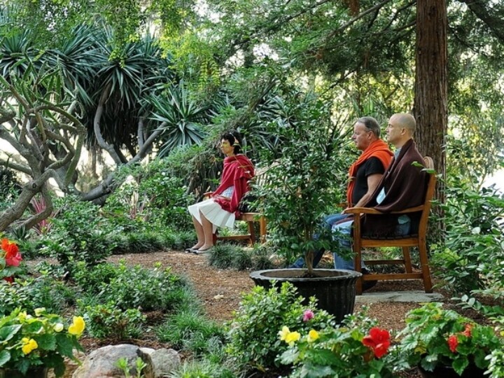 What is Peace - group meditating in nature