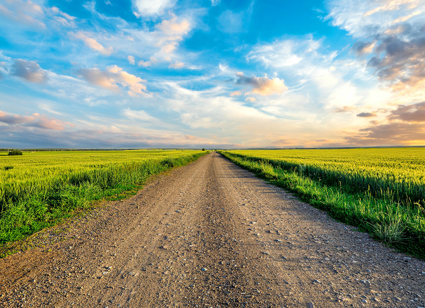 April 2025 newsletter practical advice blog